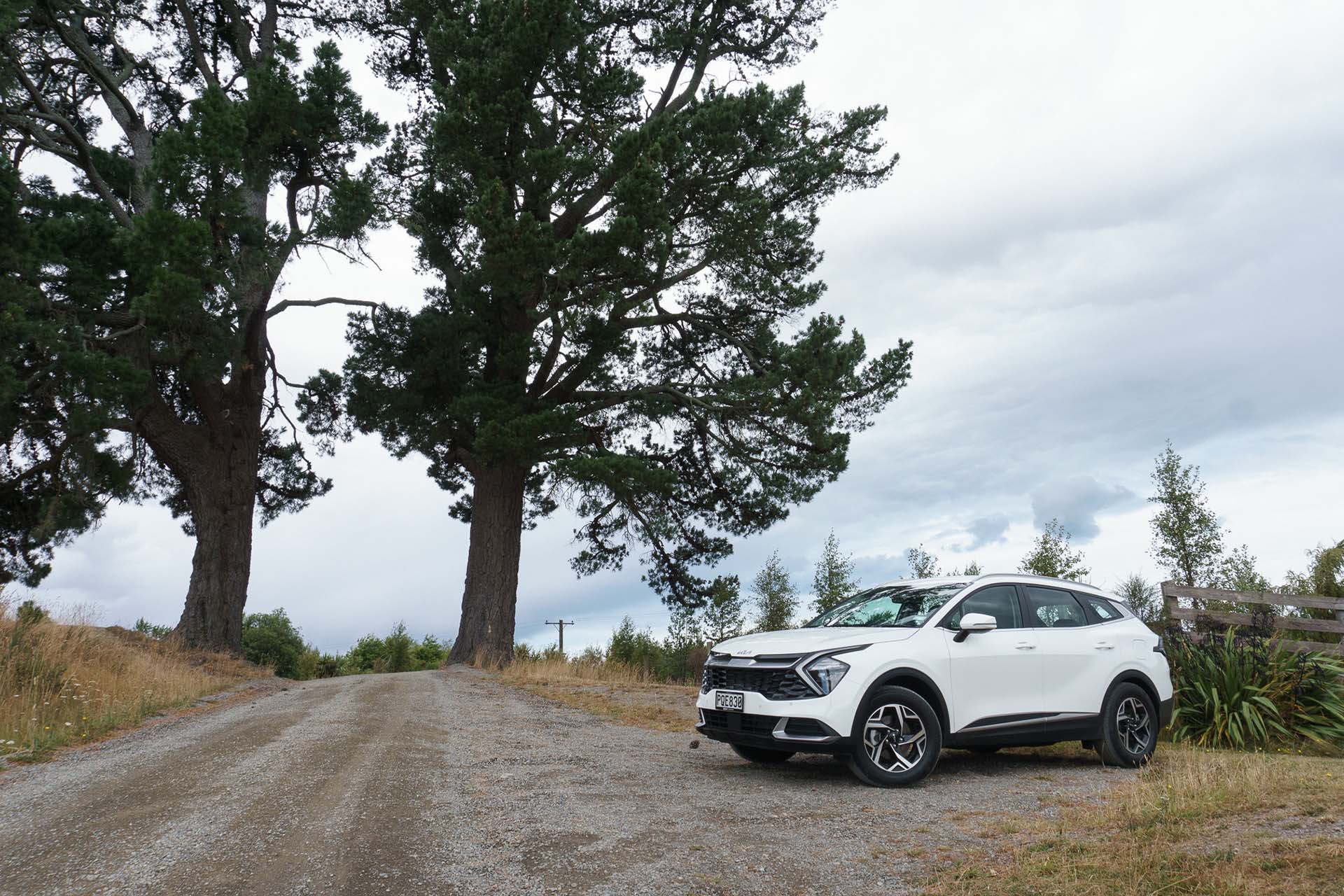 The 2024 Kia Sportage in White