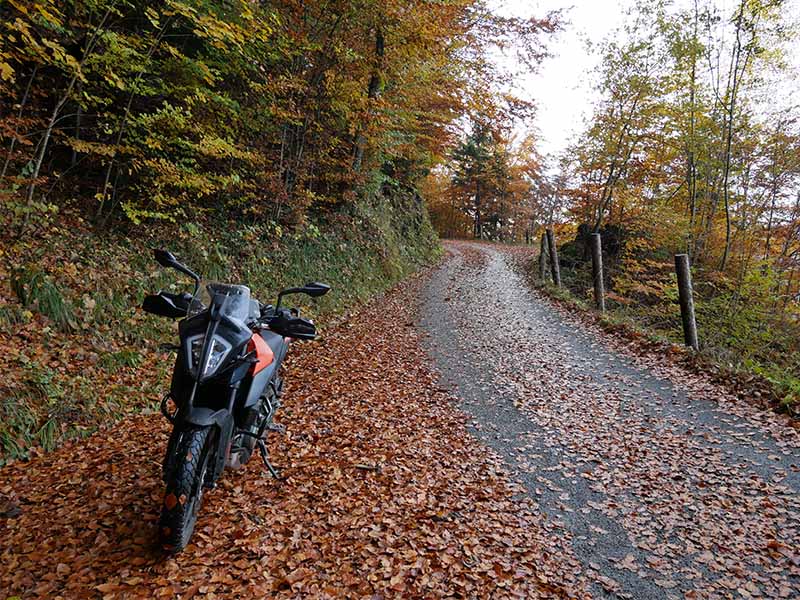The KTM 390 Adventure Lightweight Adventure Motorcycle parked on a leafy road.
