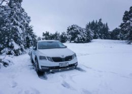 Škoda Octavia Scout in the snow