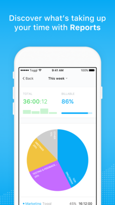 Toggl App Reports